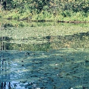 Meet your Posher, Eva